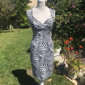 NWOT Sexy zebra dress